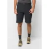 Jack Wolfskin Trekkinghose »ZIEGSPITZ SHORTS M«