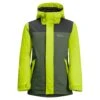 Jack Wolfskin Winterjacke Icy Mountain (wasser- Und Winddicht, Atmungsaktiv,warm) 2022 Grün Kids