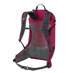 Jack Wolfskin Fahrrad-/ Multisportrucksack Phantasy (Helmfixierung, Tragesystem) Beererot 20 Liter -Jack Wolfskin Jack Wolfskin Rucksack Phantasy 20 Liter 2010231 2222 3 1000x1000 1